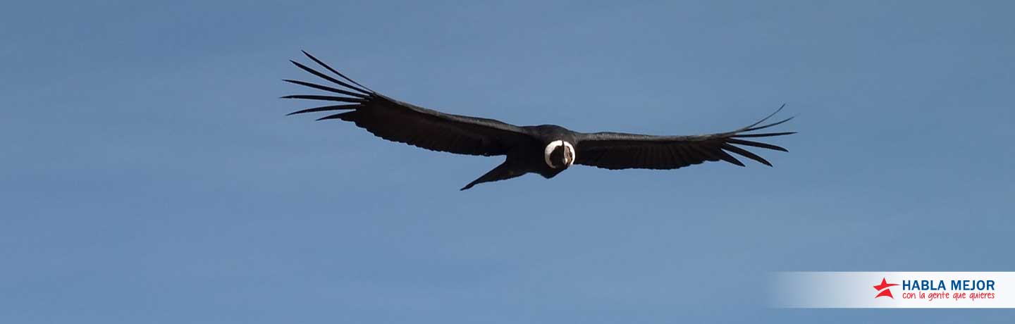 Habla mejor con la gente que quieres