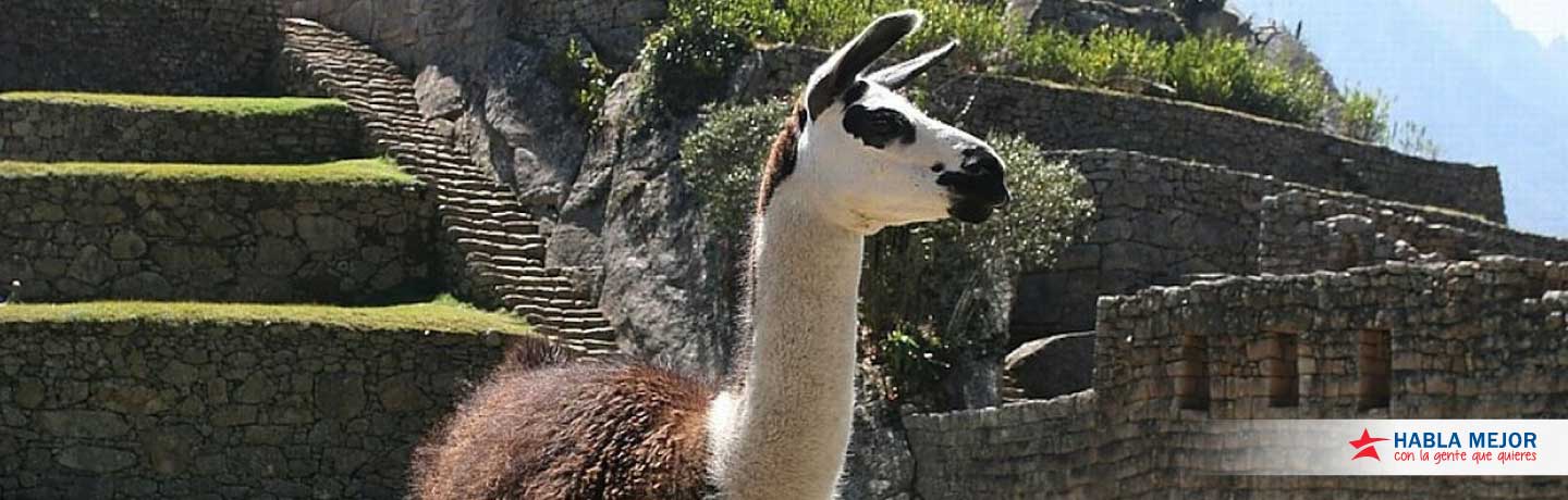 Habla mejor con la gente que quieres