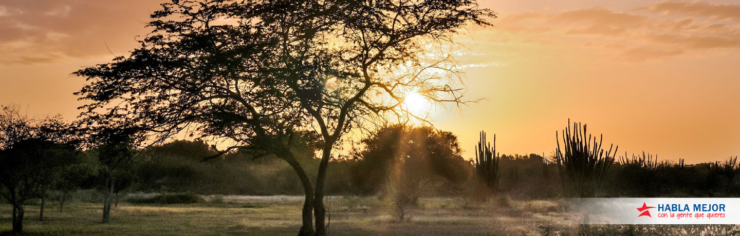 Habla mejor con la gente que quieres